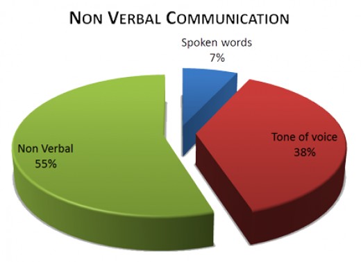 communication-visual-verbal-essay